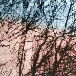 In reflection