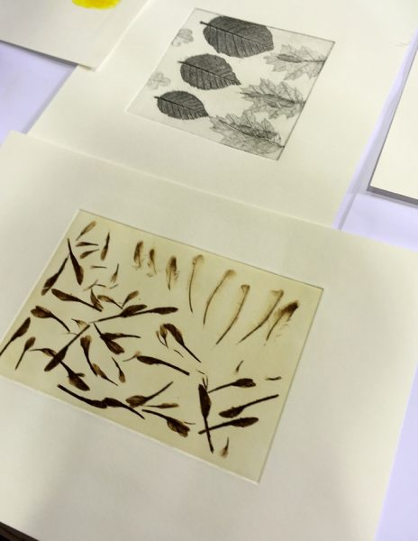 Solarplate print with feather - CPSC